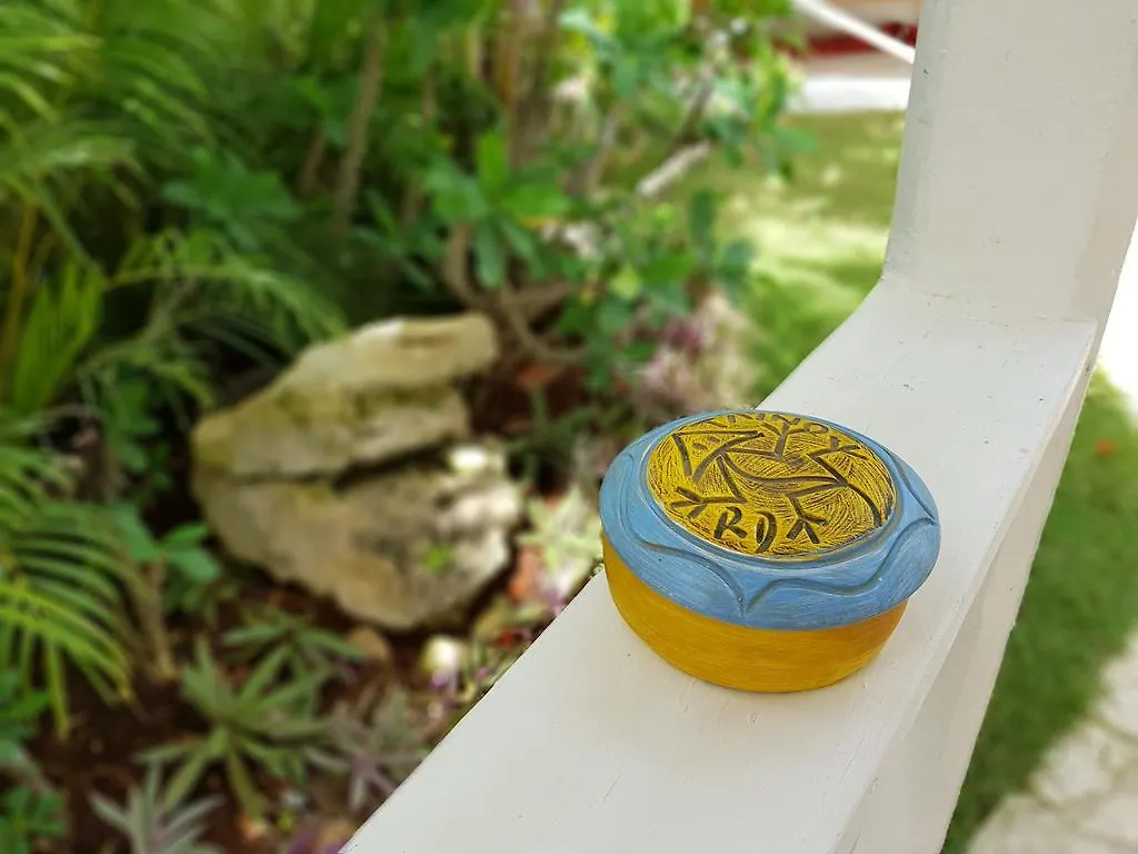 **  Bayahibe Guest House Hotel Dominican Republic